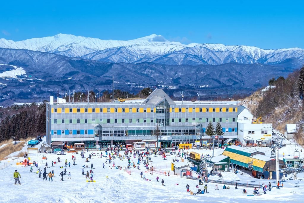 ⛷️ 화이트피아 타카스 이미지 8